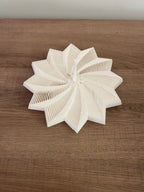 10 Star Fidget